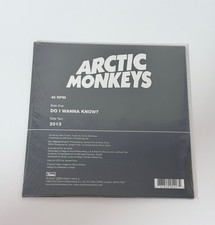 Arctic Monkeys 7