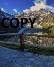 Digital Image photo jpeg picture