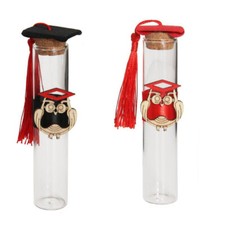 Bomboniera portaconfetti x laurea 12 provette vetro tappo a tocco nappa gufetto