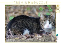 Calvendo Puzzle Tabby House Cat | 1000 Pieces, Finished Size 25.2 × 18.9 In (64