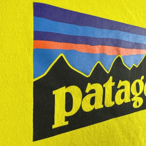 Patagonia Herren Large Regular Fit Yellow Mountain Spellout Logo Grafik T-Shirt - Bild 9 von 14