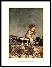 Peter Pan Fairies' Orchestra page 66 Art Nouveau Original Vintage 1906 Rachham