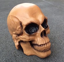 Life Sized Skull Prop Hollow Halloween Decoration Horror Bone Costume Head