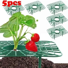 5pcs Adjustable Strawberry Supports Plant Stand Strawberry Fruit Growing Holder