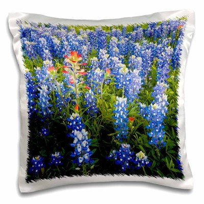 Texas-Flaggen Gartenflagge, 30,5 X 45,7 Cm – Buntes Motiv Von Walter Bibikow