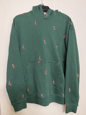 NIKE JORDAN ESSENTIALS FLC PULLOVER HOODIE ''NOBLE GREEN'' Sz Medium DC9707-333