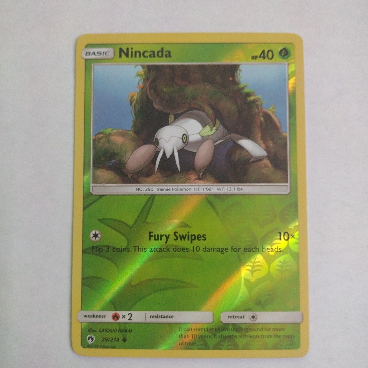 Nincada 29/214 Reverse Holo | Sun & Moon: Lost Thunder | Pokemon Card