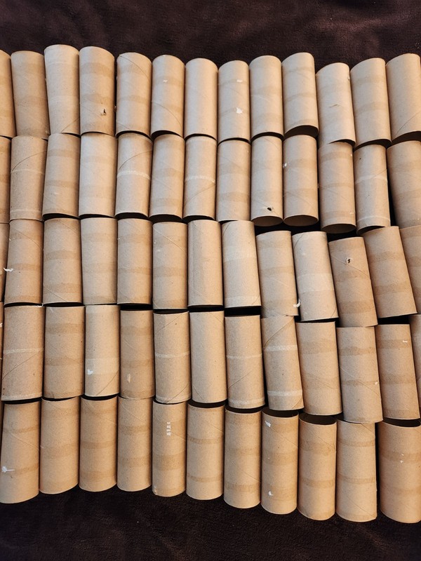 160 Empty Toilet Paper Rolls Cardboard Tubes Craft School Art Project Lot