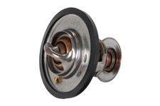 Thermostat Hyundai SANTA FE