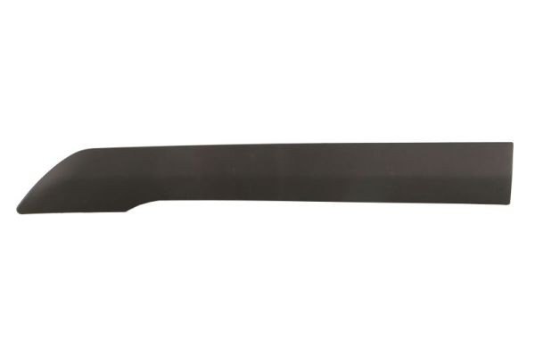 Left Front BLIC 5703-04-2508583P Trim/Protection Strip, quarter panel for FORD