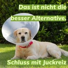 Bild 5 von 10