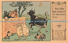 R682274 Der kleine Hund lachte, um so viel Spaß zu sehen. Hey Diddle Diddle. F. Warne und