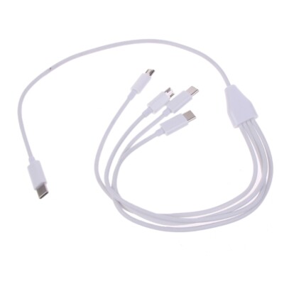 4-in-1 USB C to Multi Charging Cable USB C to Micro USB + Type C Universal