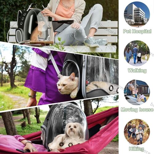 1/2xHaustier Tragetasche Transportrucksack Rucksack Katzen Hunde Atmungsaktiv DE - Bild 11 von 15