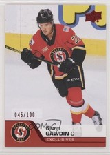 2020-21 Upper Deck AHL Exclusives 45/100 Glenn Gawdin #29 01ks