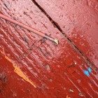 Bild 13 von 15