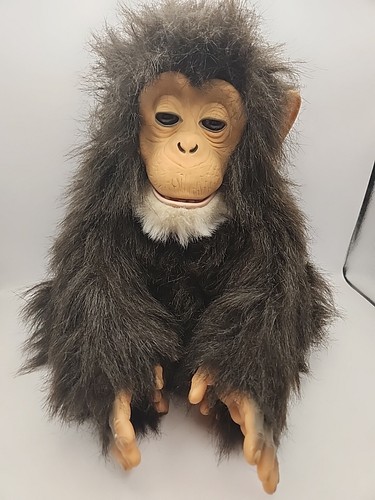 Fur Real Furreal Cuddle Chimp Chimpanzee Interactive Plush Stuffed Monkey Read - Picture 2 of 6