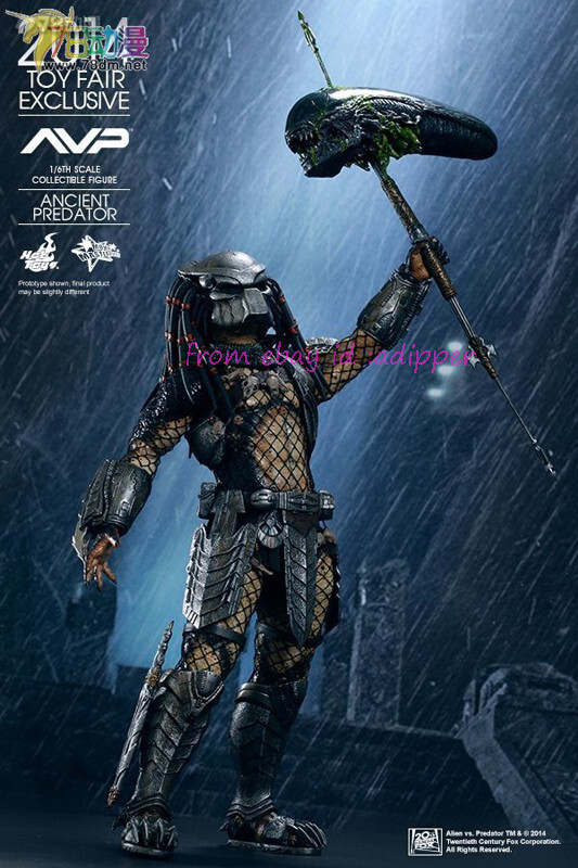 カ*シ様 ALIEN VS. PREDATOR 1/6 Scale KOTOBU Hot Toys Alien vs. Predator Ancient Predator 1/6th scale