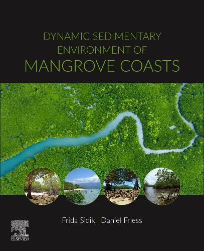Thumbnail - Daniel Friess Dynamic Sedimentary Environments Of Mangrove Coasts
