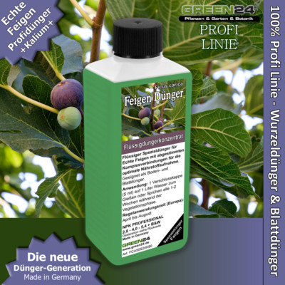ranunkel düngen Ranunkeln 'Reinette Rosa' main image 0