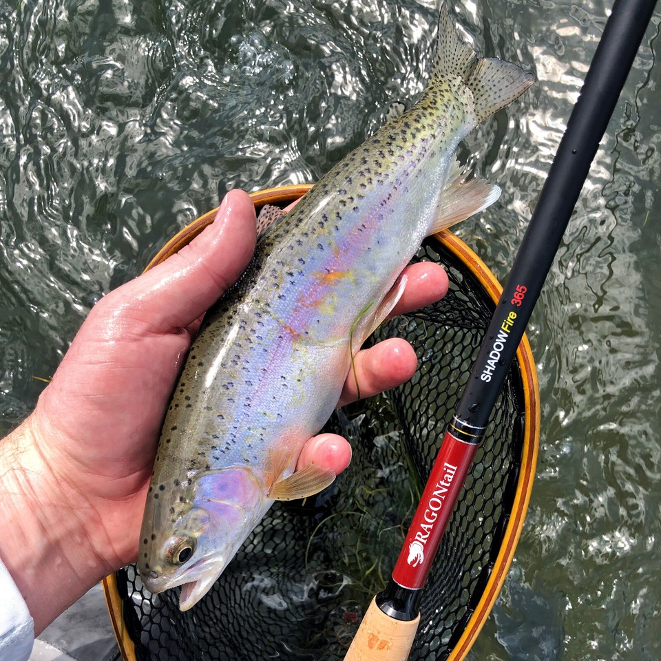 Trout Best Budget Tenkara Rod Karasu By Discover Tenkara