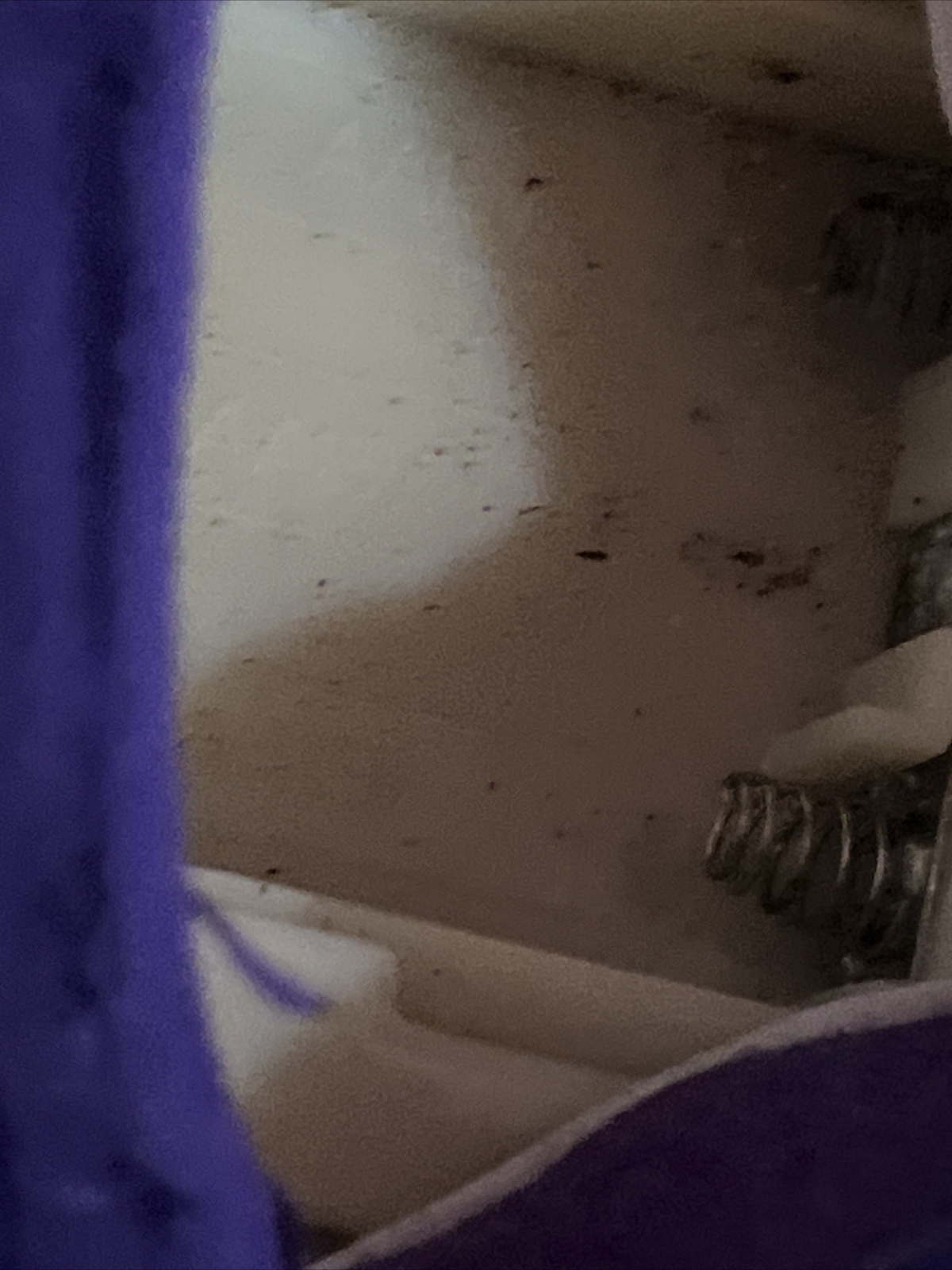 Picture 14 of 19