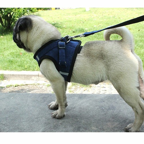 Dog Harness Vest+Leash Set Small Dogs Cats Walking Chest Strap Breathable Mesh - Picture 10 of 16