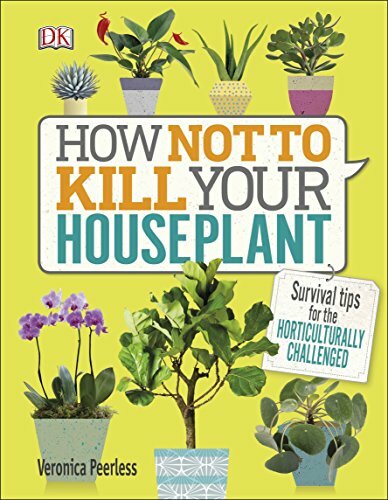 How Not to Kill Your Houseplant: Survival Tips for the Horticulturally Challe.
