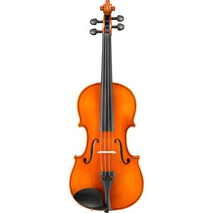 Samuel Eastman Violin Vl100 | eBay
