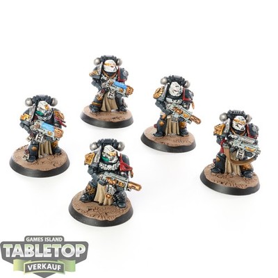 Space Marines - 5 x Sternguard Veteran Squad klassisch - bemalt
