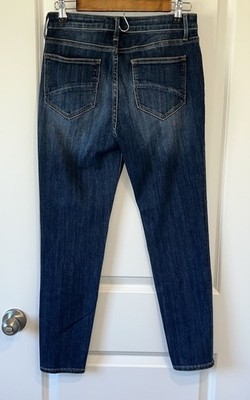 Driftwood Jackie High Rise Blue Jeans Size 28 Cottage Normcore Minimal P3101
