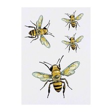 4 x 'Honey Bee' Temporary Tattoos / Transfers TO00074532 
