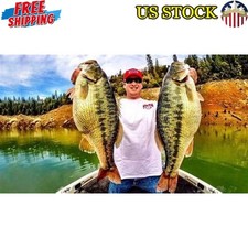 Tour Grade Titanium Umbrella Rig Five Wire System 3D Eyes Fishing Lure New