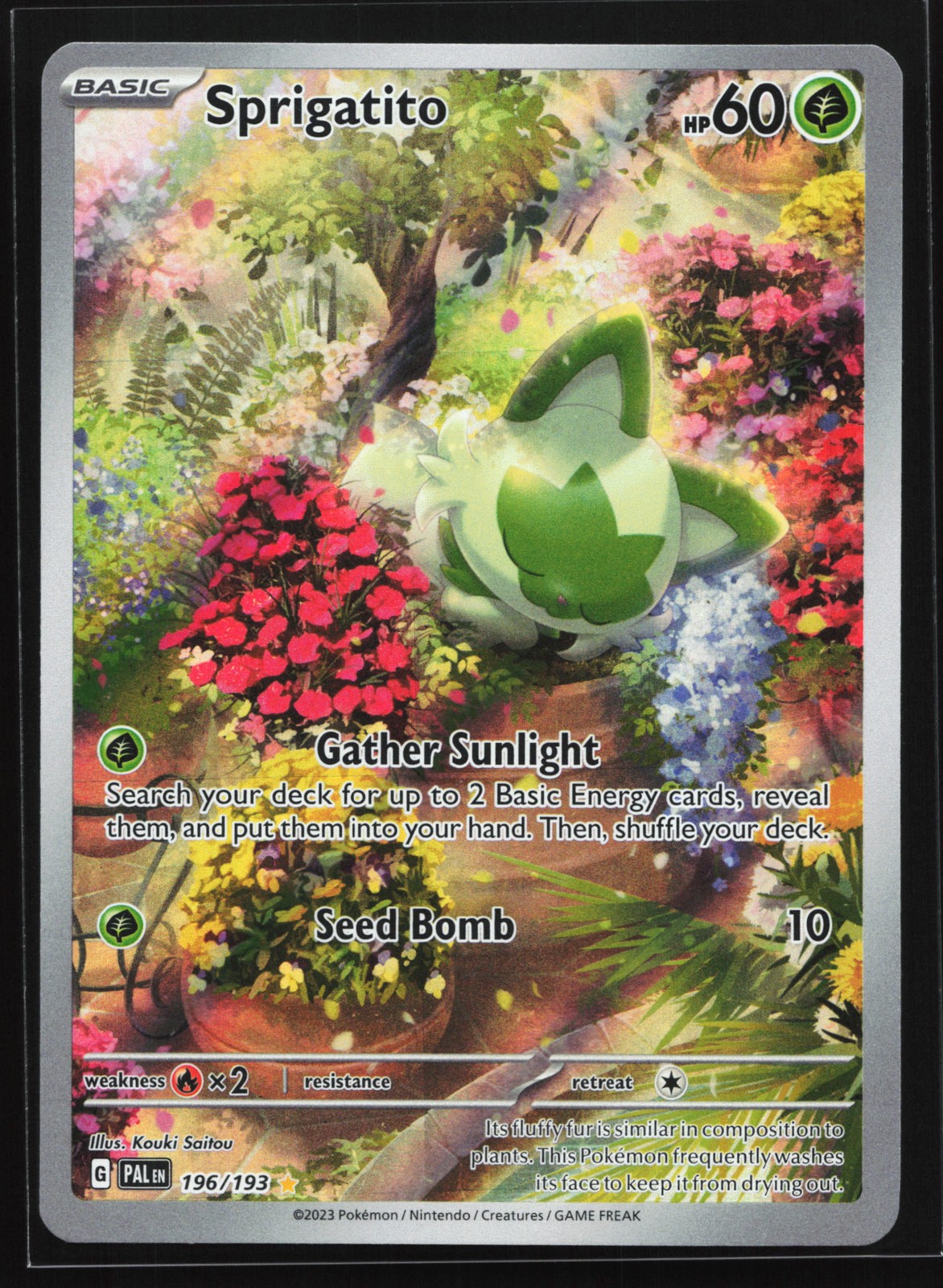 Sprigatito 196/193 SV02: Paldea Evolved Illustration Rare Pokemon Card
