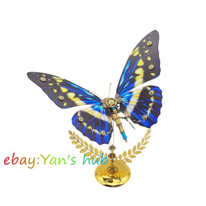 Morpho Helena | eBay