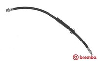 Brembo Bremsschlauch T 23 192 FüR Fiat Panda Classic 169AXF2A 169AXF1A 4X4 169