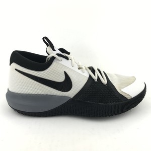 zoom assersion price