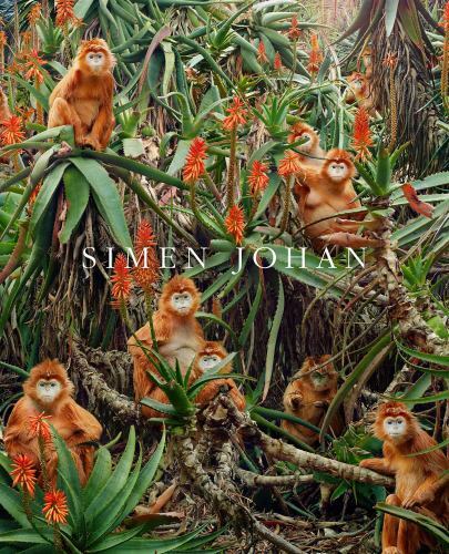 Simen Johan.by Johan, (introduction) New Fast Free Shipping** - Image 2