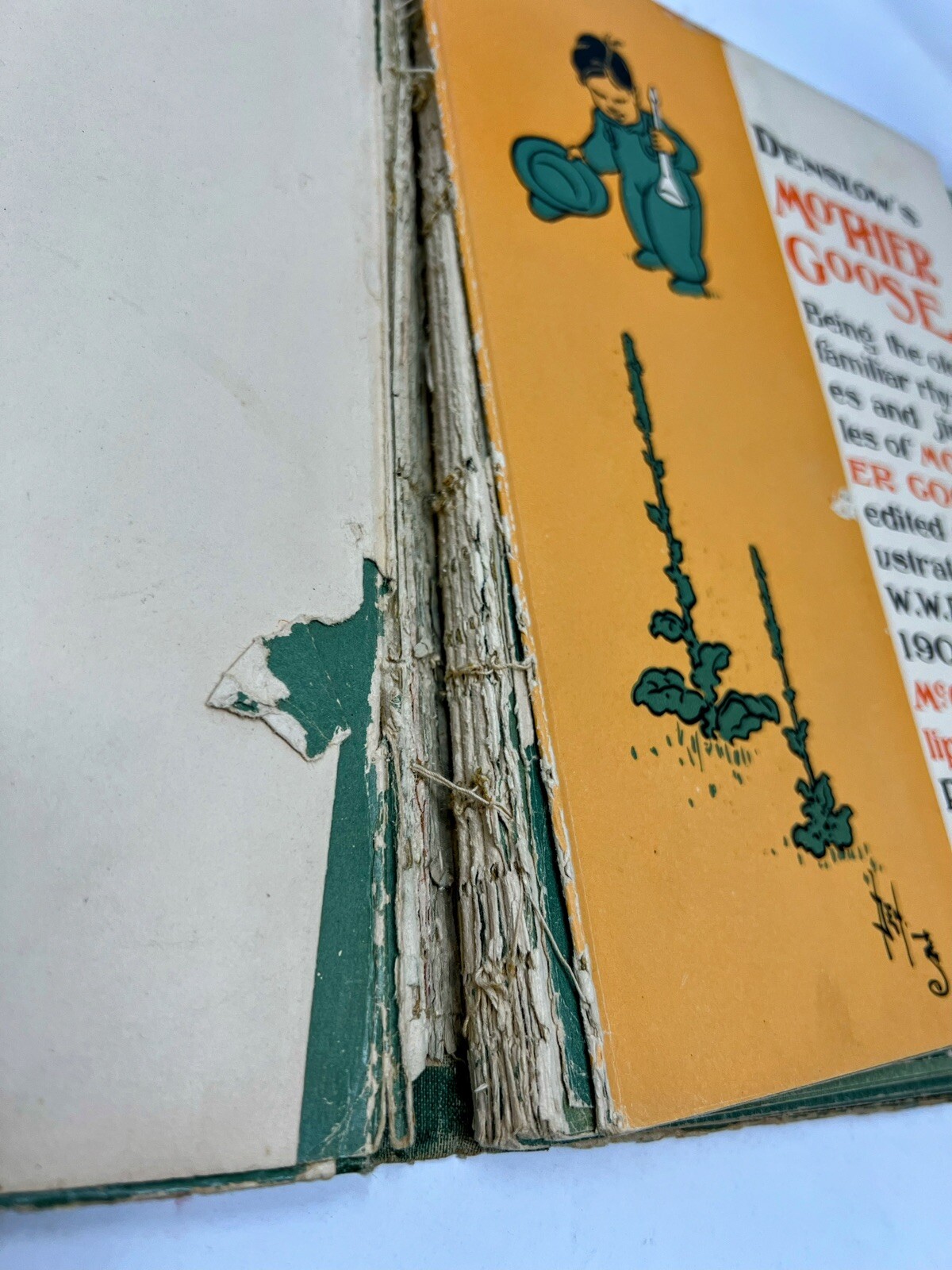 Picture 4 of 17