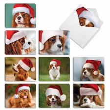 20 Christmas Cards (10 Designs, 2 Each) - Cavalier King Charles AM6831XSG-B2x10