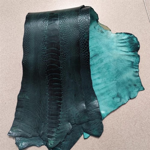 1X Genuine Ostrich Leg Skin Leather Hide Exotic Leather DIY Craft Emerald Green - Picture 5 of 12