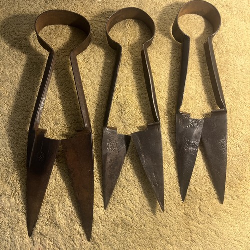 Vtg Sheep Shears Hilger & Sons TUP & Sheffield England Approx 12"-13" Long
