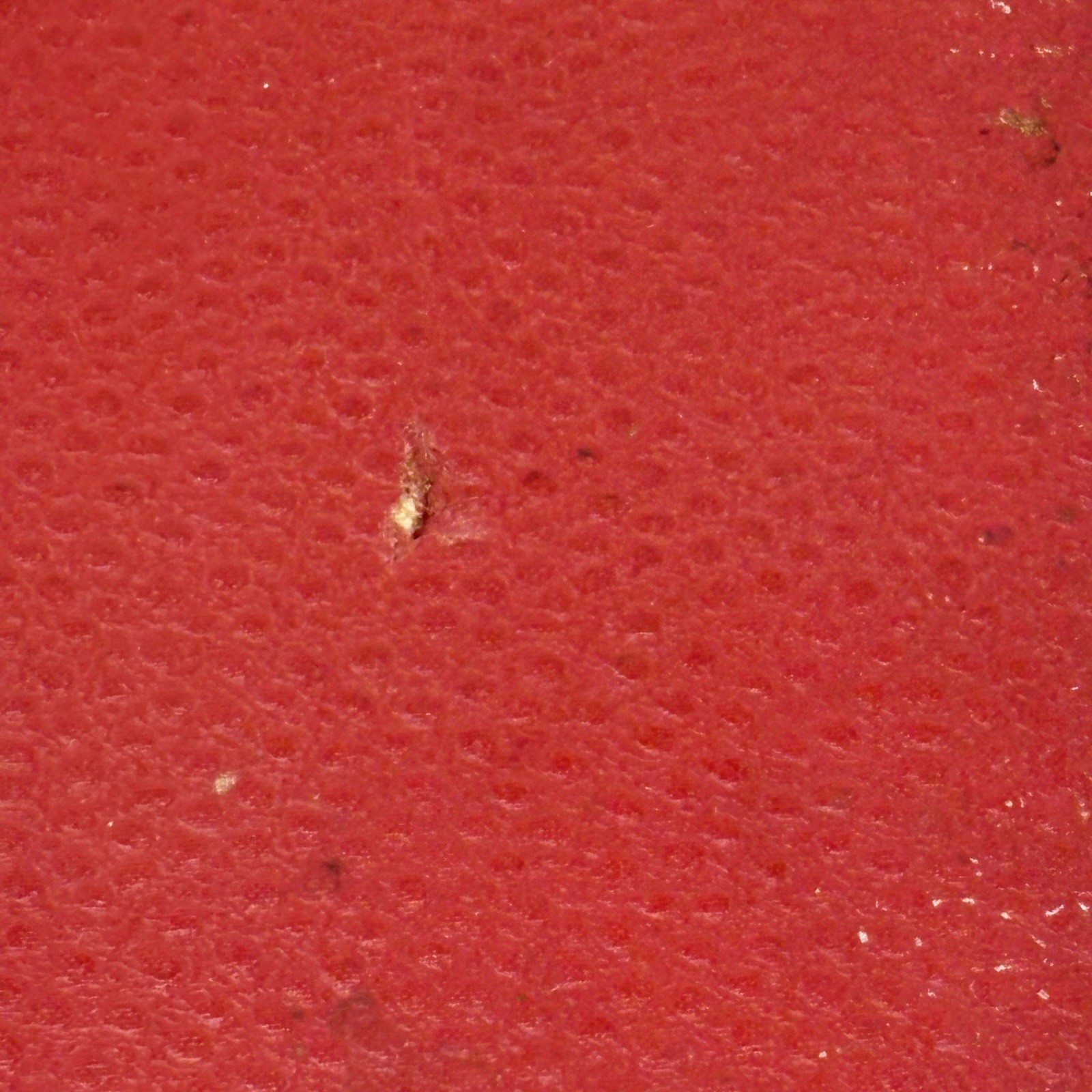 Picture 24 of 24