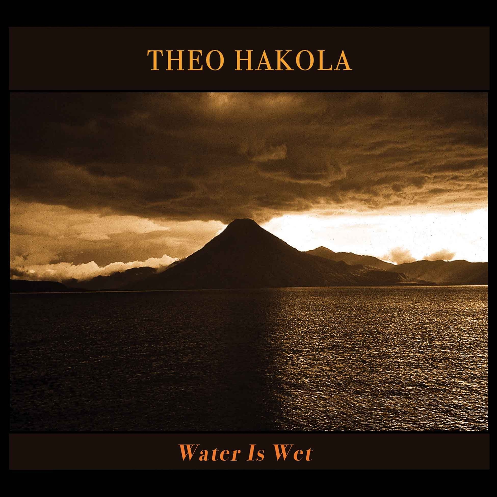 Hakola,Theo Water Is Wet (Vinyl LP)