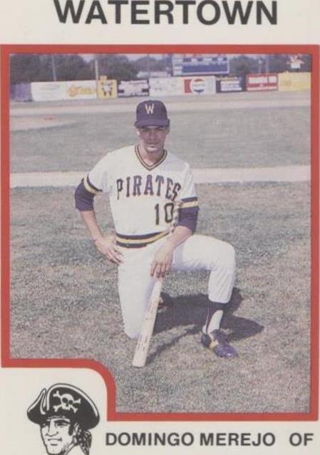 1987 ProCards Minor League - Domingo Merejo #2810 - 1 of 1