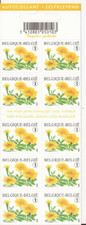 Belgium - Booklet - 2008 - COB B91** - SCOTT 2298a - Tagetes Patula - MNH