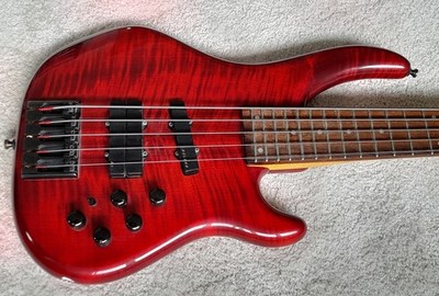 Clover Xpression 5 String Edel-Bass, handmade in Germany
