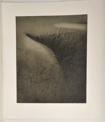 Anna Kurkowska /1983 /50 Exemplare /Radierung / handsigniert/ Die Schlucht - Bild 1 von 4