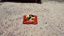 1/24 Diorama Katze