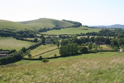 Photo 12x8 Across Spread Eagle Hill to Compton Down East Melbury  c2017